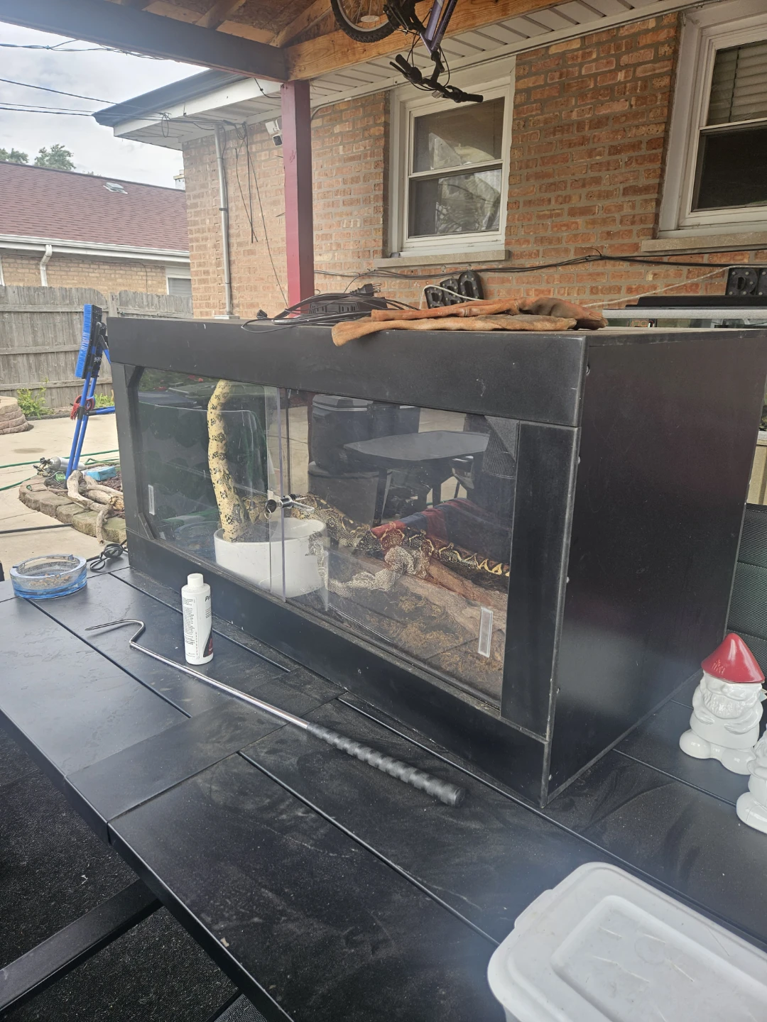 Black Reptile Enclosure Terrarium - photo 4