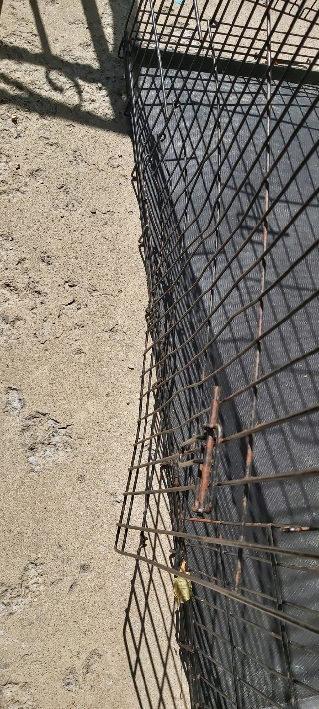 XX LARGE dog cage - photo 5