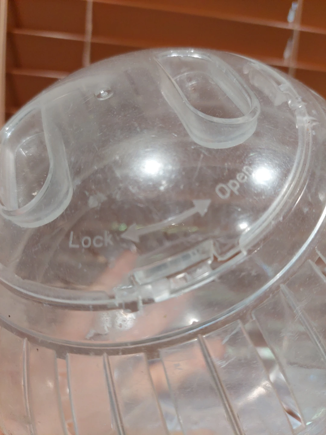 Hamster Ball for Small Pets 🏈 - photo 2
