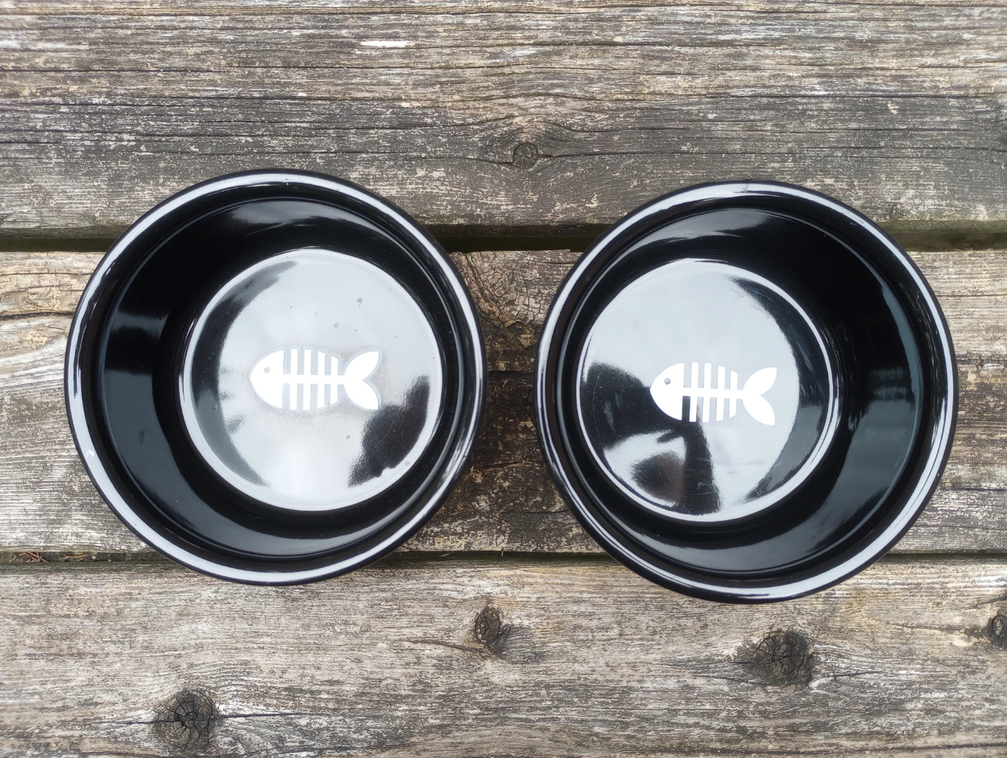 Cute Ceramic Dog Bowls - photo 2