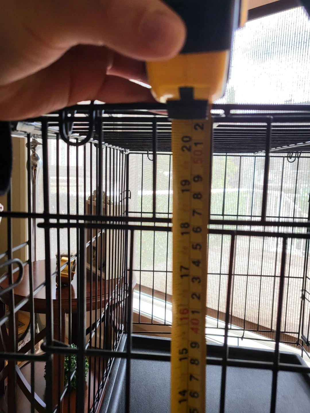 Petmate Wire Dog Crate - photo 3