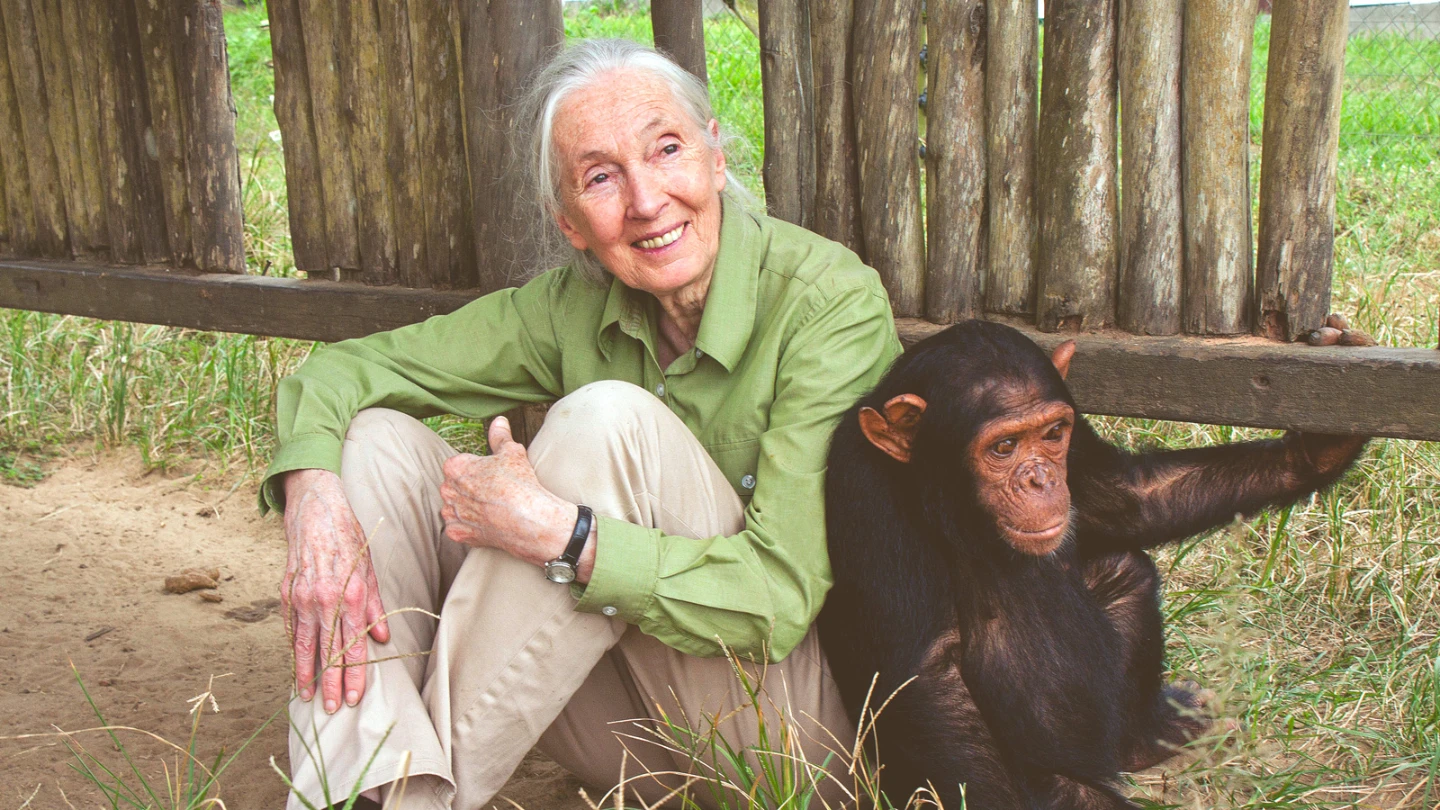 Heather's Hike for Hope ft. Jane Goodall (Share/Doante) - photo 3