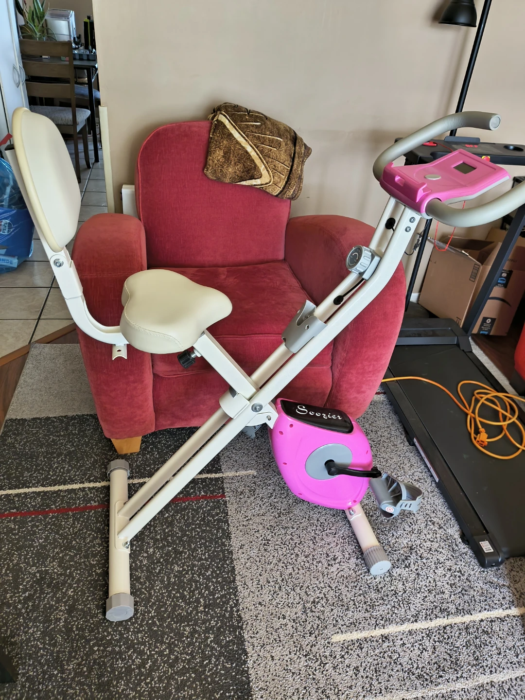 LCD monitor exercise bike