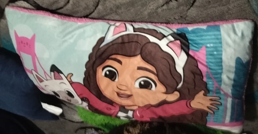 Gabby's Dollhouse Decorative Pillow