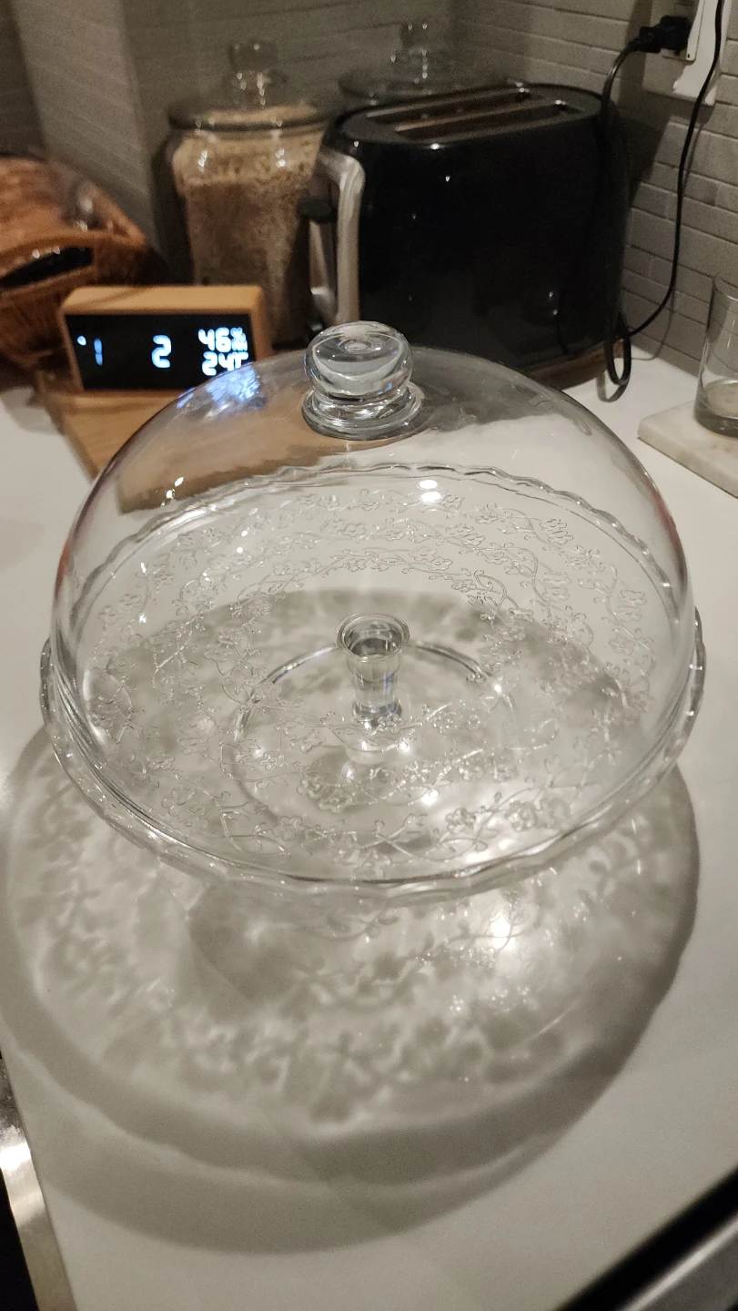11" Clear Glass Cake Stand with Dome – Floral Vine Etched Design