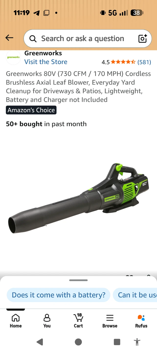 Greenworks 80V Cordless Brushless Axial Leaf Blower