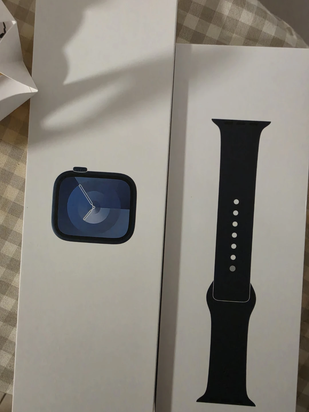 Apple Watch Series 9 45mm/  100% battery
