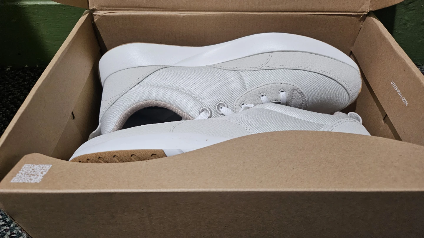 Allbirds Sneakers White