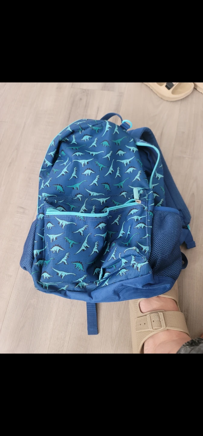 Blue dinosaur print backpack