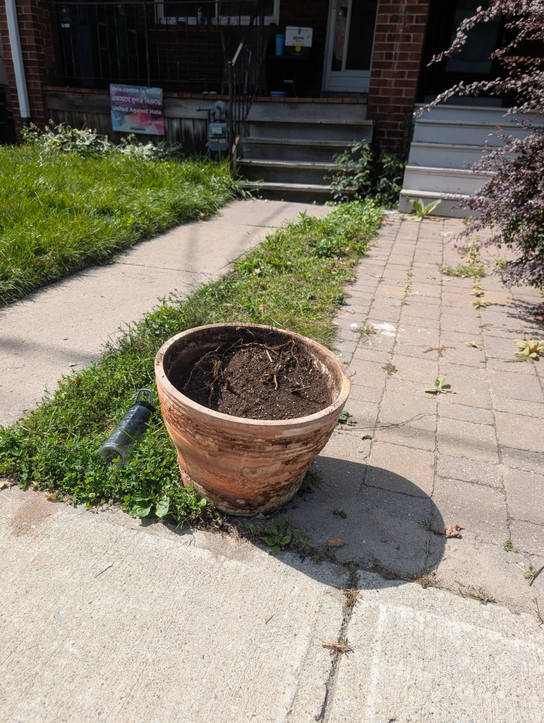 Free BIG terracotta pot - photo 2
