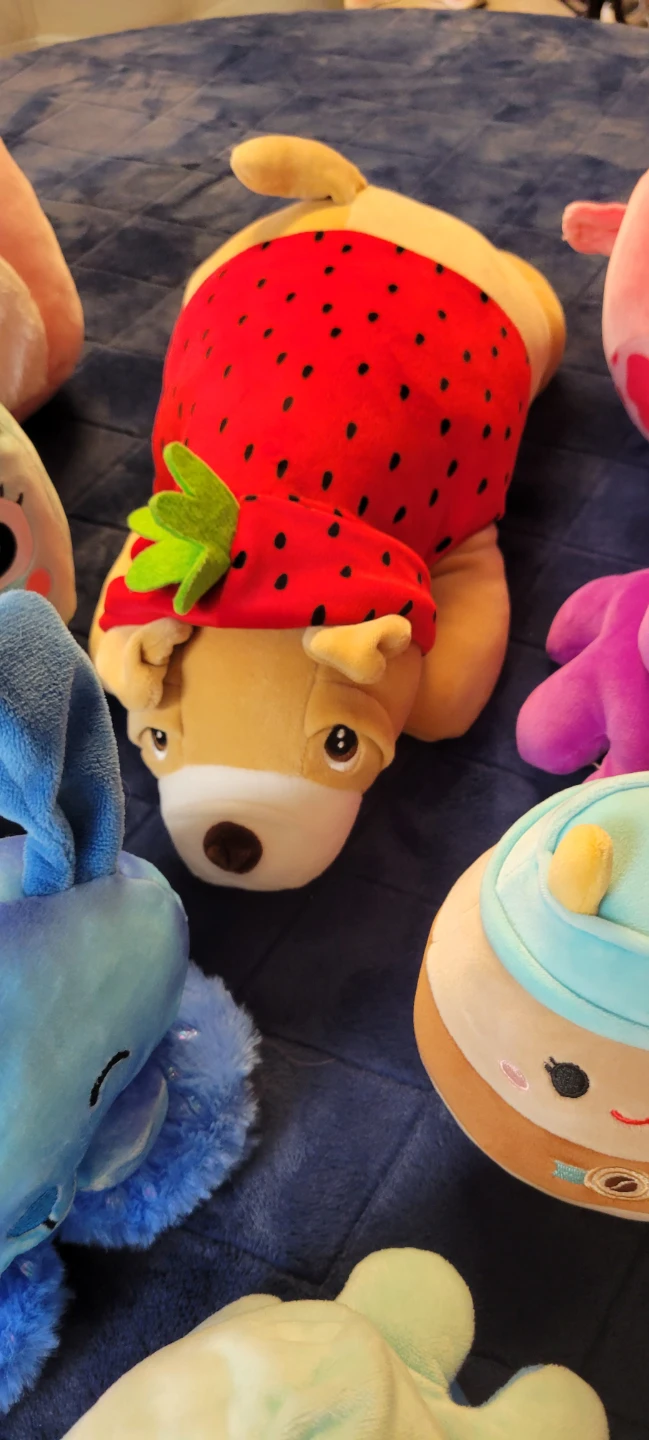 Squishmallows Plush Toy Bundle