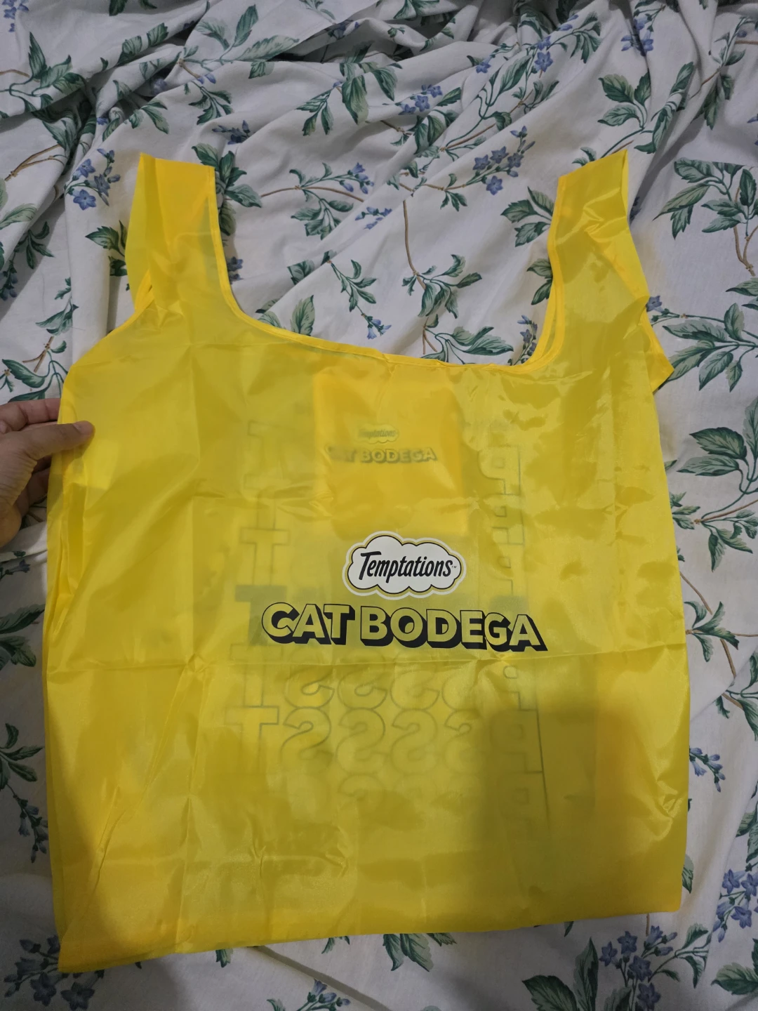 Temptations Cat Bodega Reusable Bag 🏈