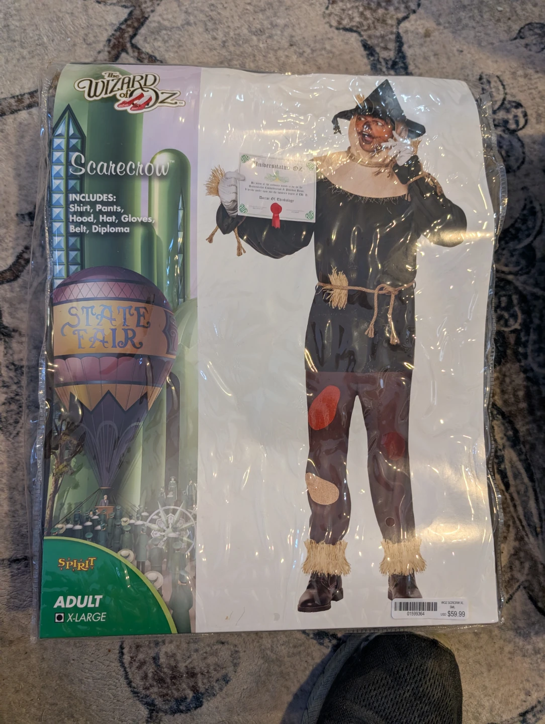 Wizard of Oz Scarecrow and Cowardly Lion Costumes - photo 3