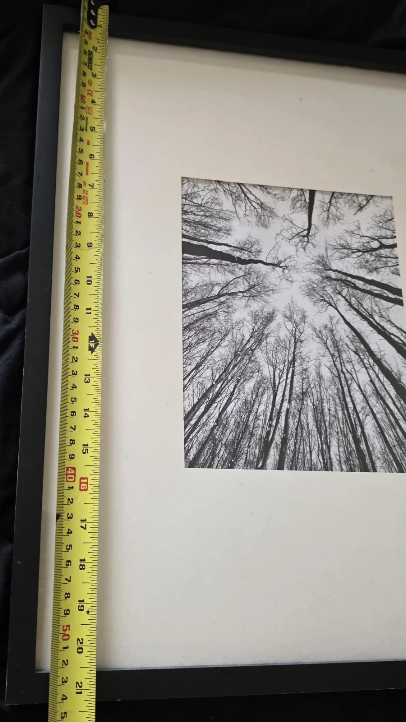 🖼️ Modern Black & White Framed Wall Art Set - photo 3