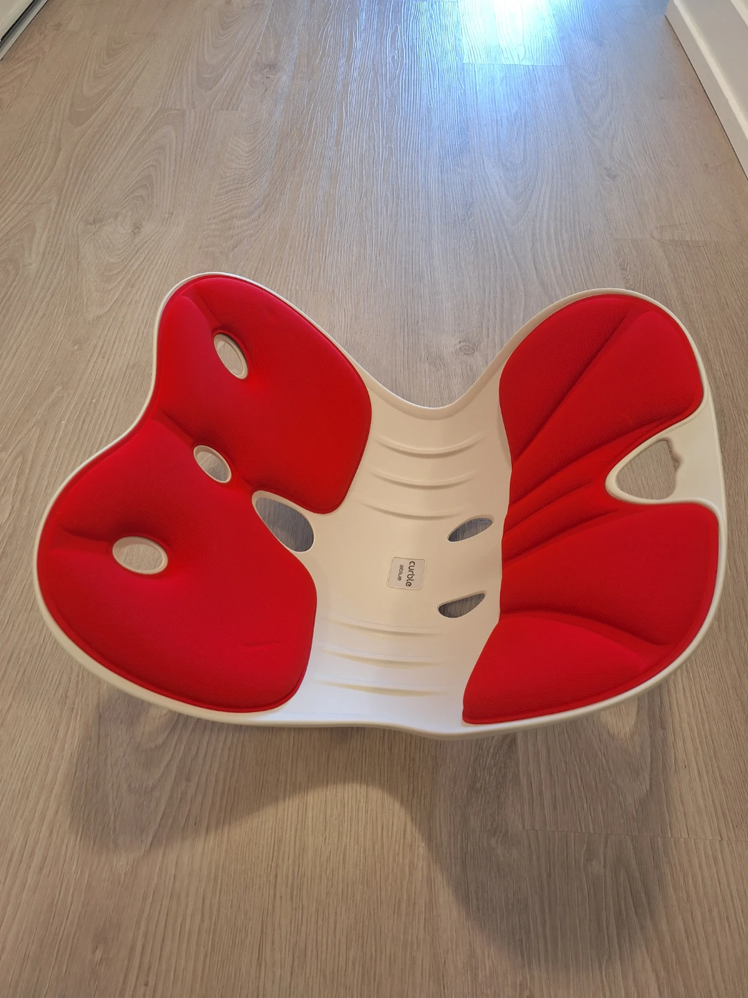 Curble Ablue Posture Chair