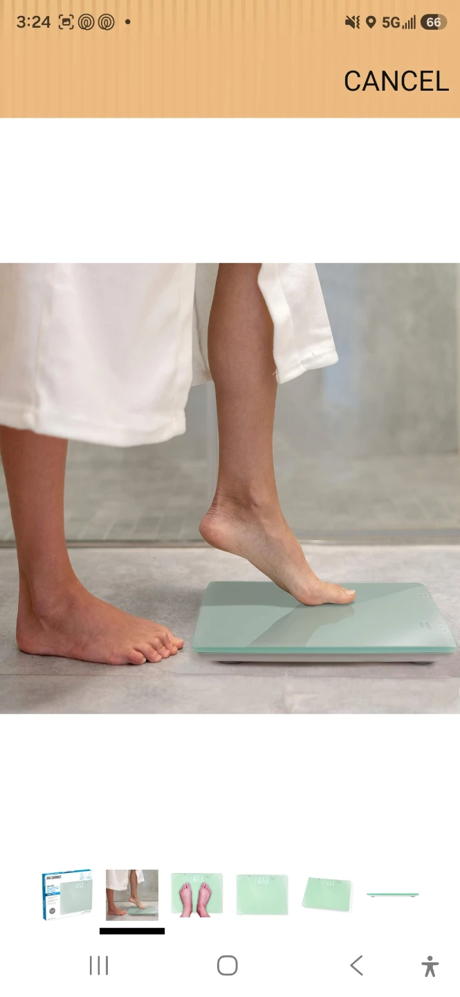 Ideaworks Deluxe Talking Scale - photo 5