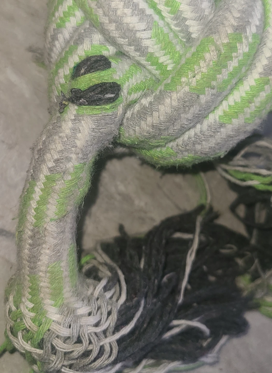 Dog Rope Toy 🐕🐶 - photo 2