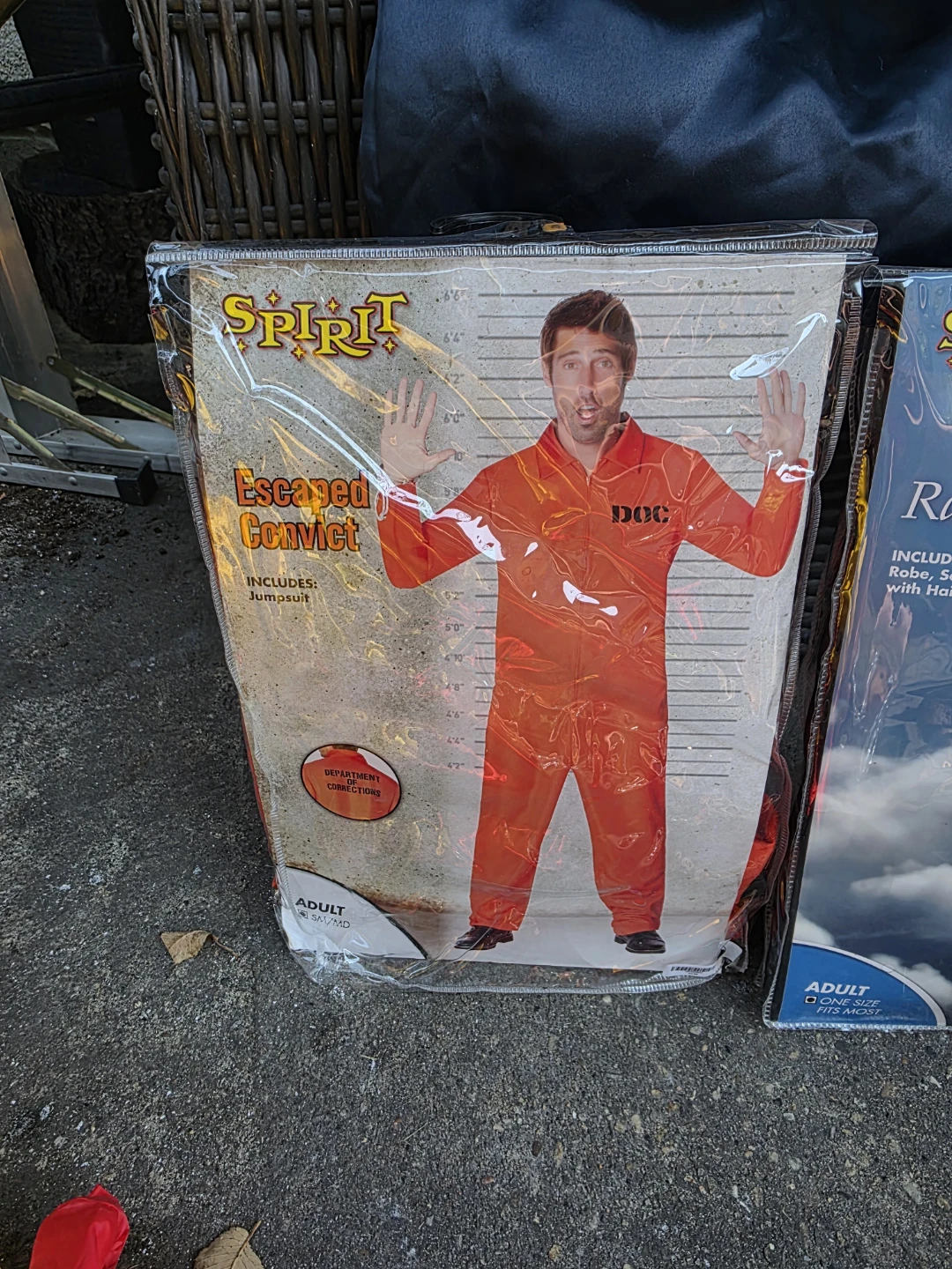 Assorted Halloween Costumes and Accessories