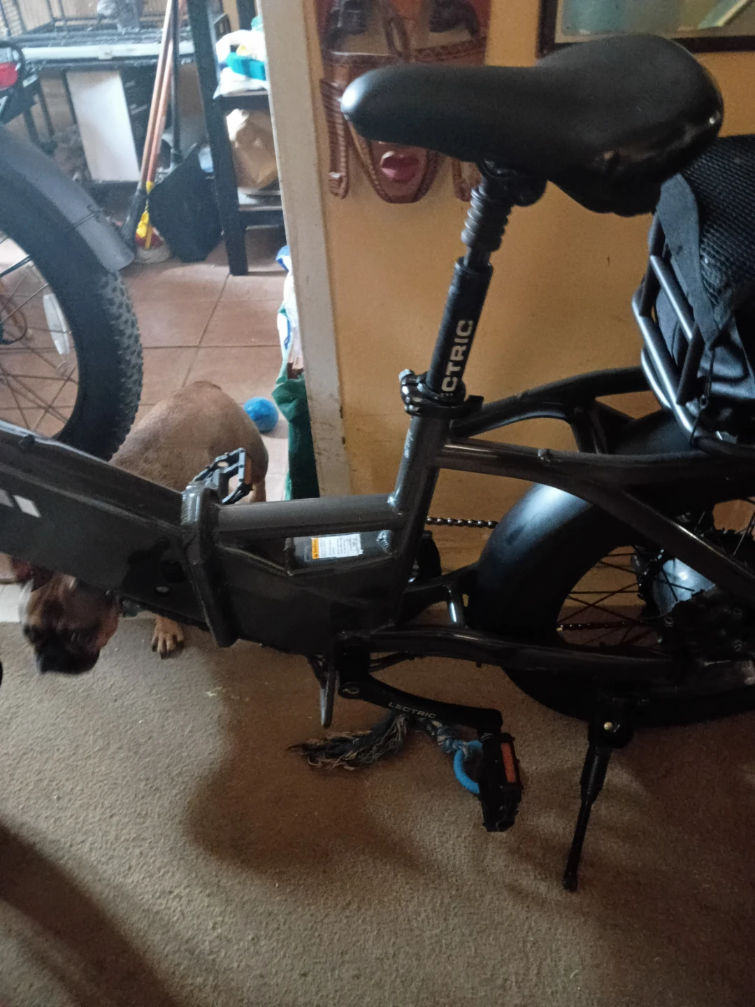 Lectric XP 4.0 Electric Bike