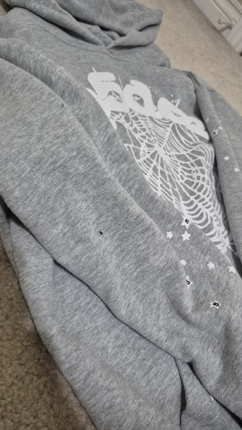 SP5DER Grey Hoodie - photo 3