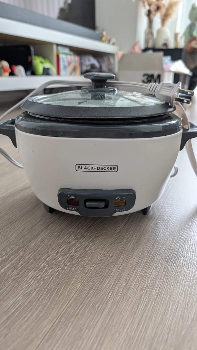 Rice cooker