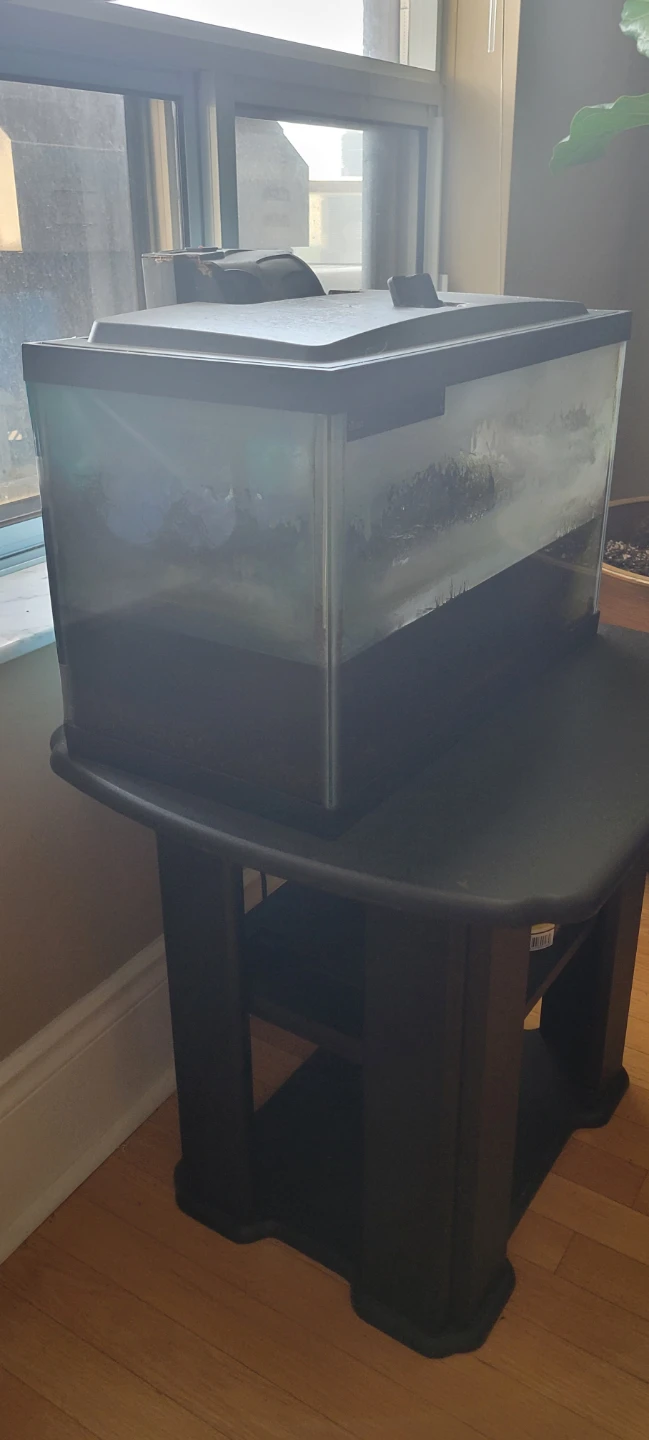 10gal aquarium