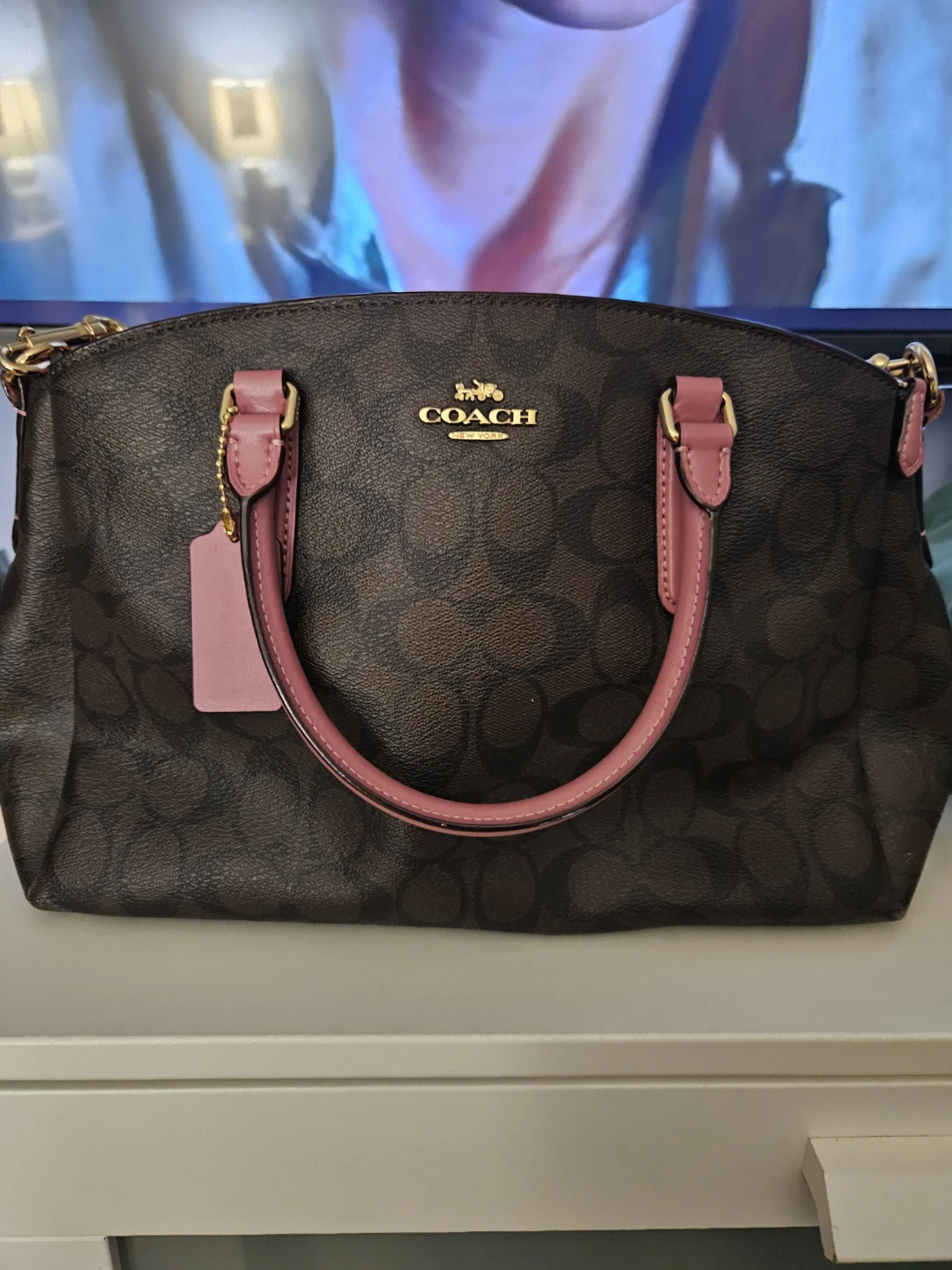 Coach Signature Canvas Handbag
