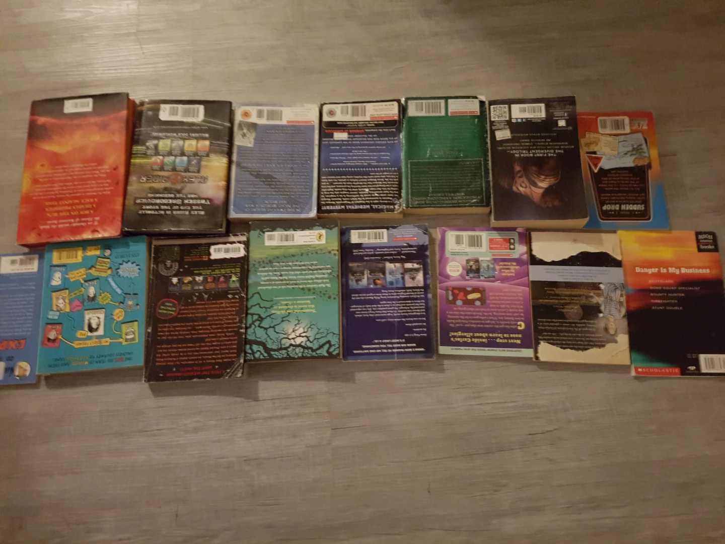 Collection of 15 Young Adult and Children's Books - photo 2