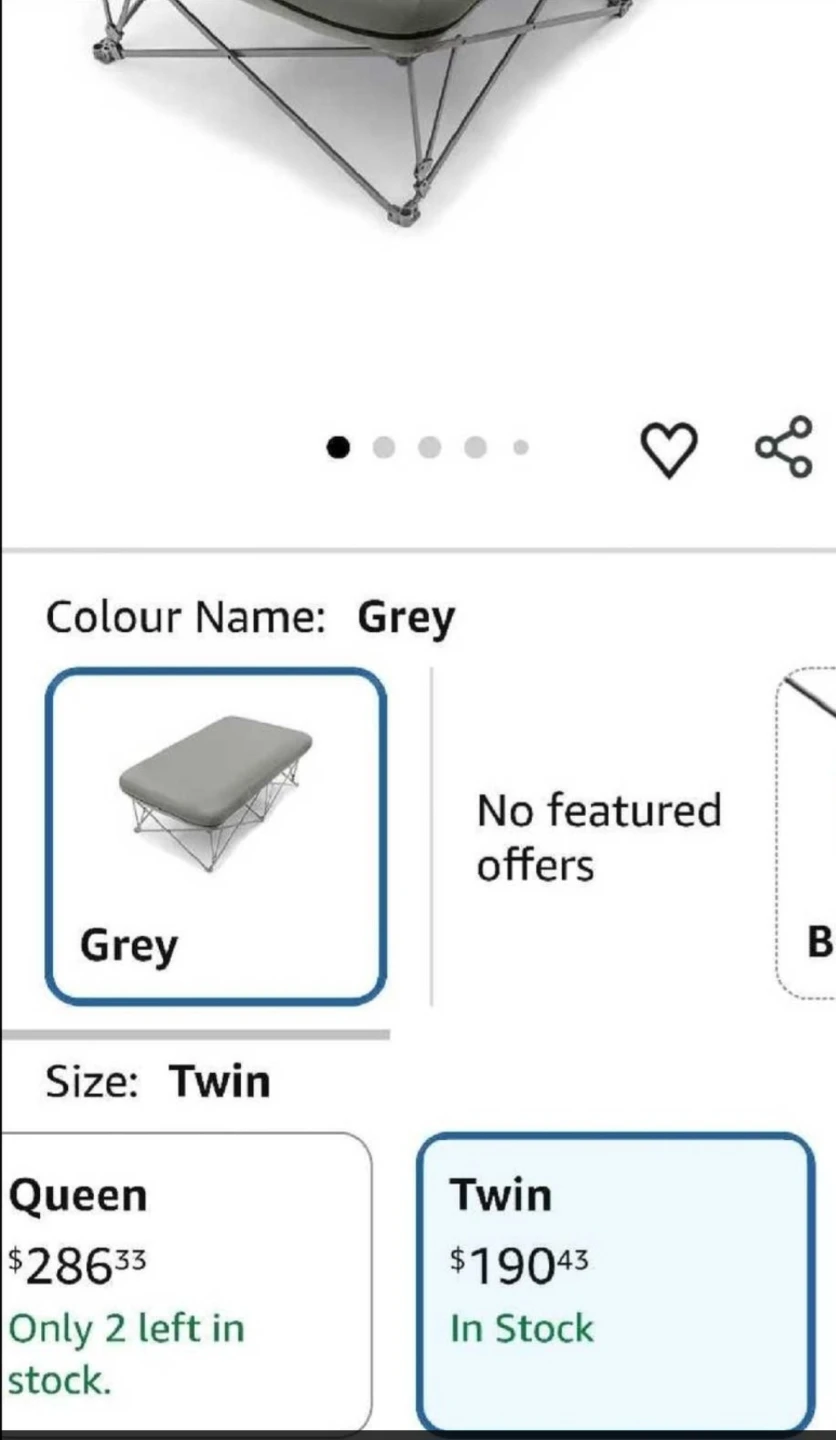 Woods Twin-size B.Y.O. Bed