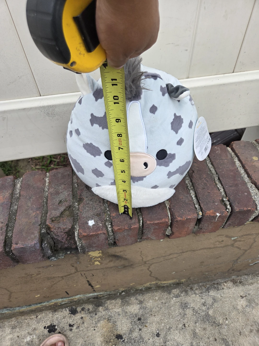 Squishmallows Grady Zebra Plush - photo 4