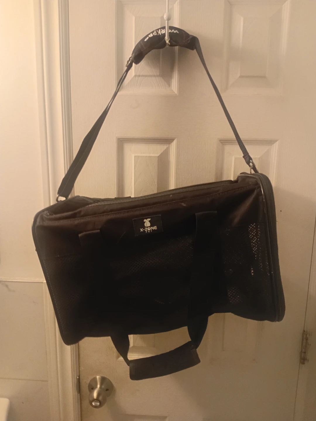 Gym/recreation bag.