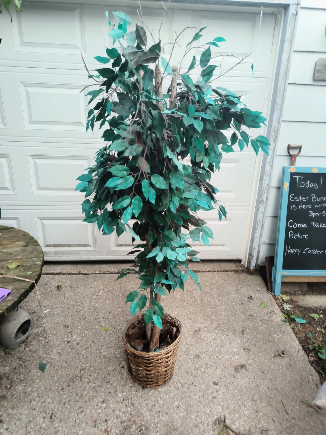 Artificial Plant about 76 inches tall base is heavy solid - photo 2