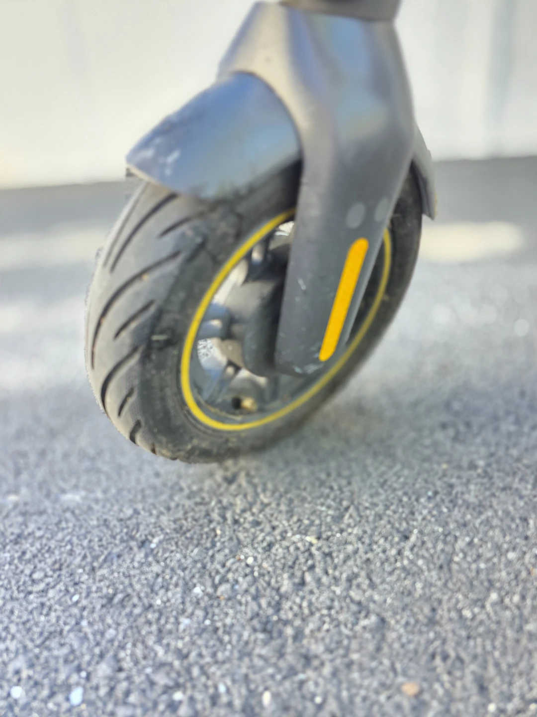 Max g2 - photo 2
