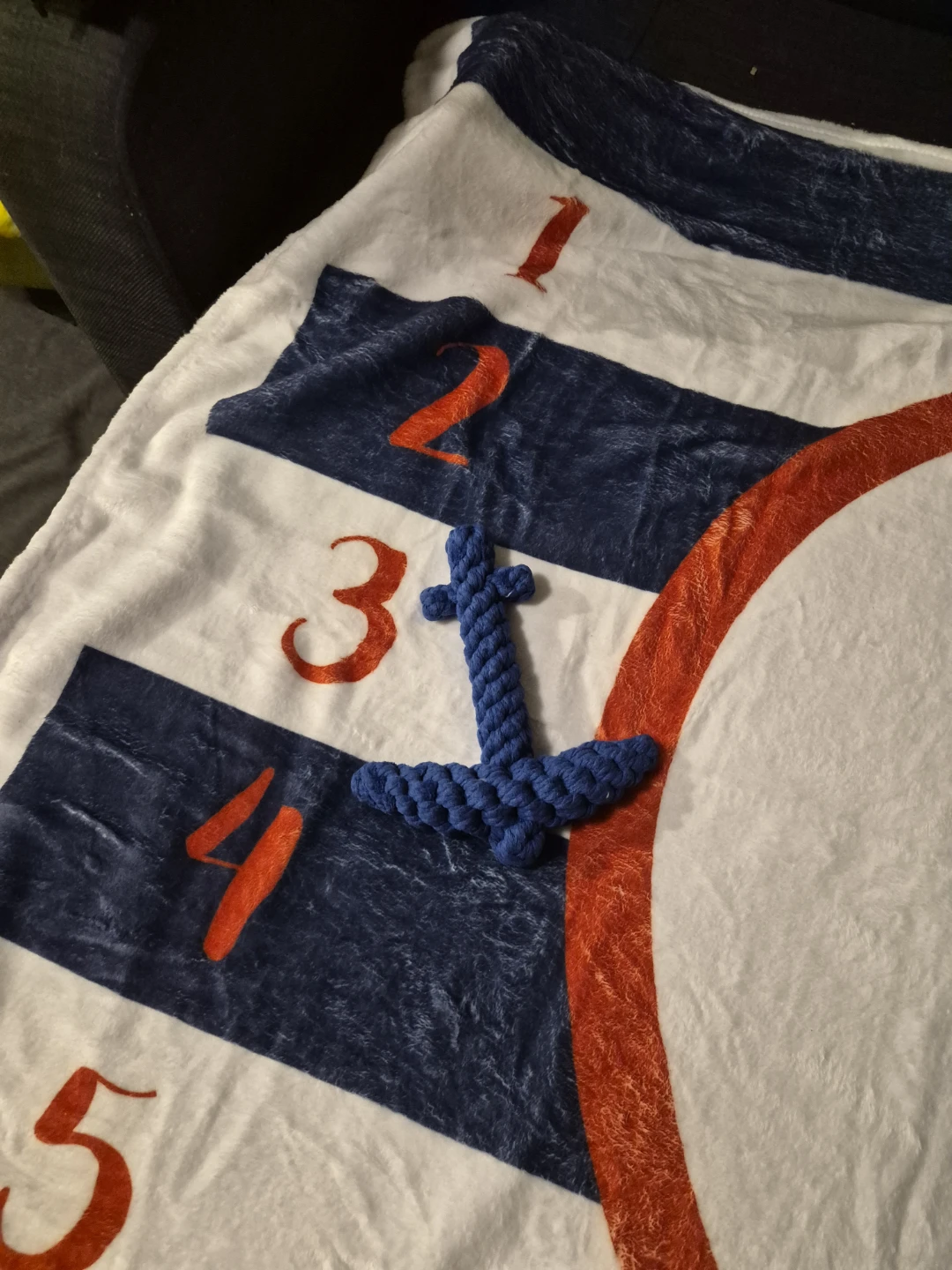 Baby Milestone Blanket with Anchor Marker - photo 4