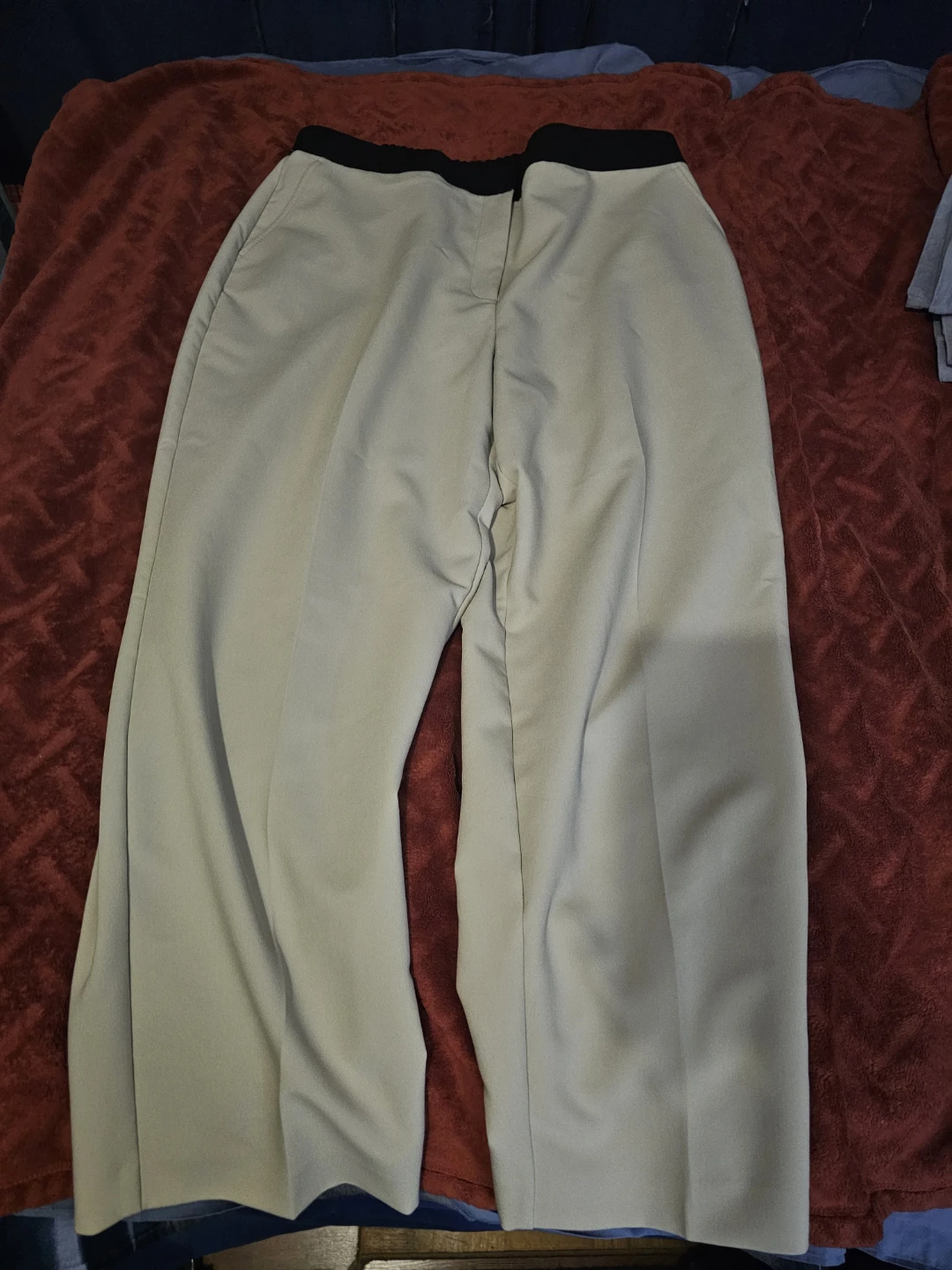 Laura Plus Beige Dress Pants Size 16