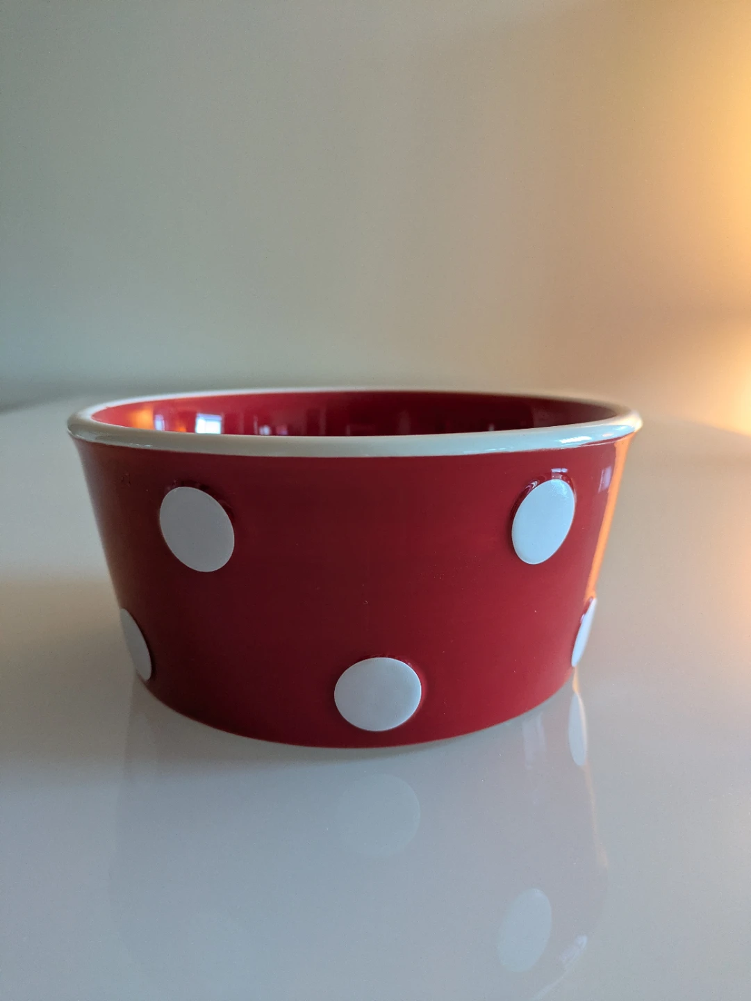 Dog Bowl