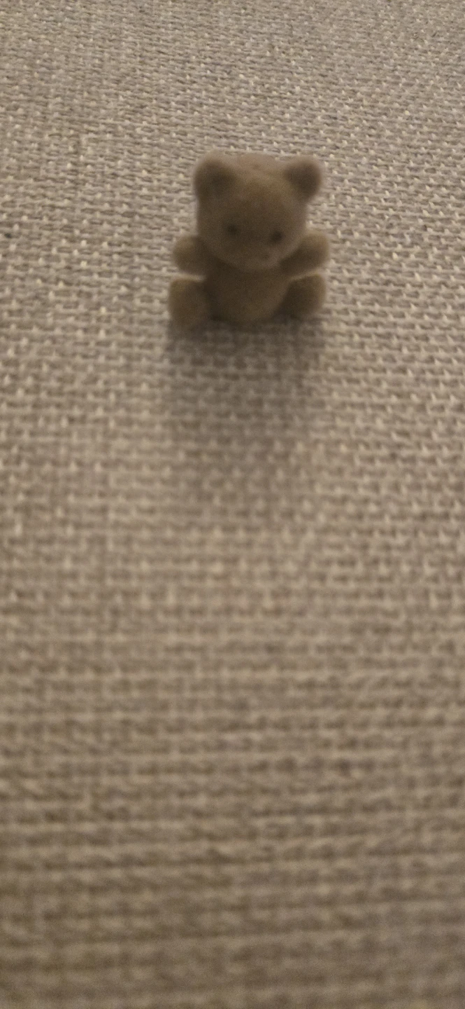 Miniature  Families Baby Bear