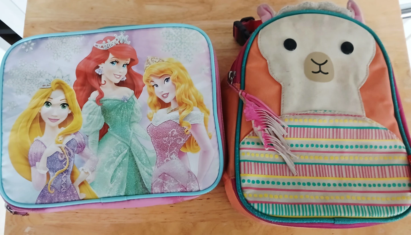 FREE Disney Princess and Llama Lunch Bags