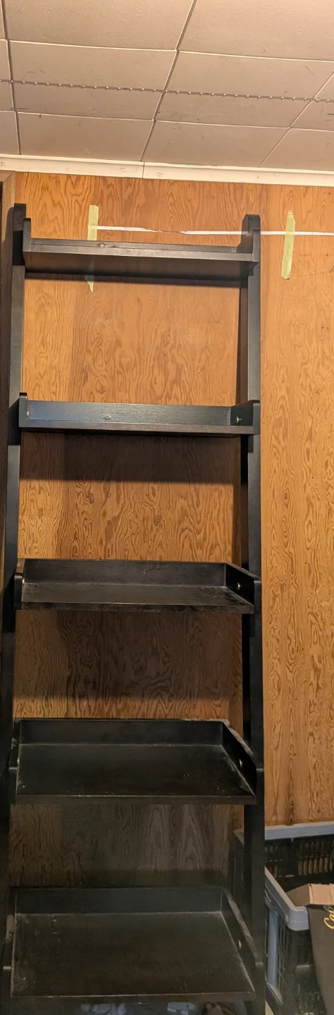 Black Ladder Shelf