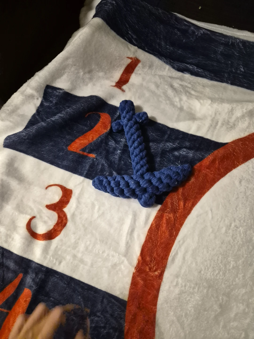 Baby Milestone Blanket with Anchor Marker - photo 3
