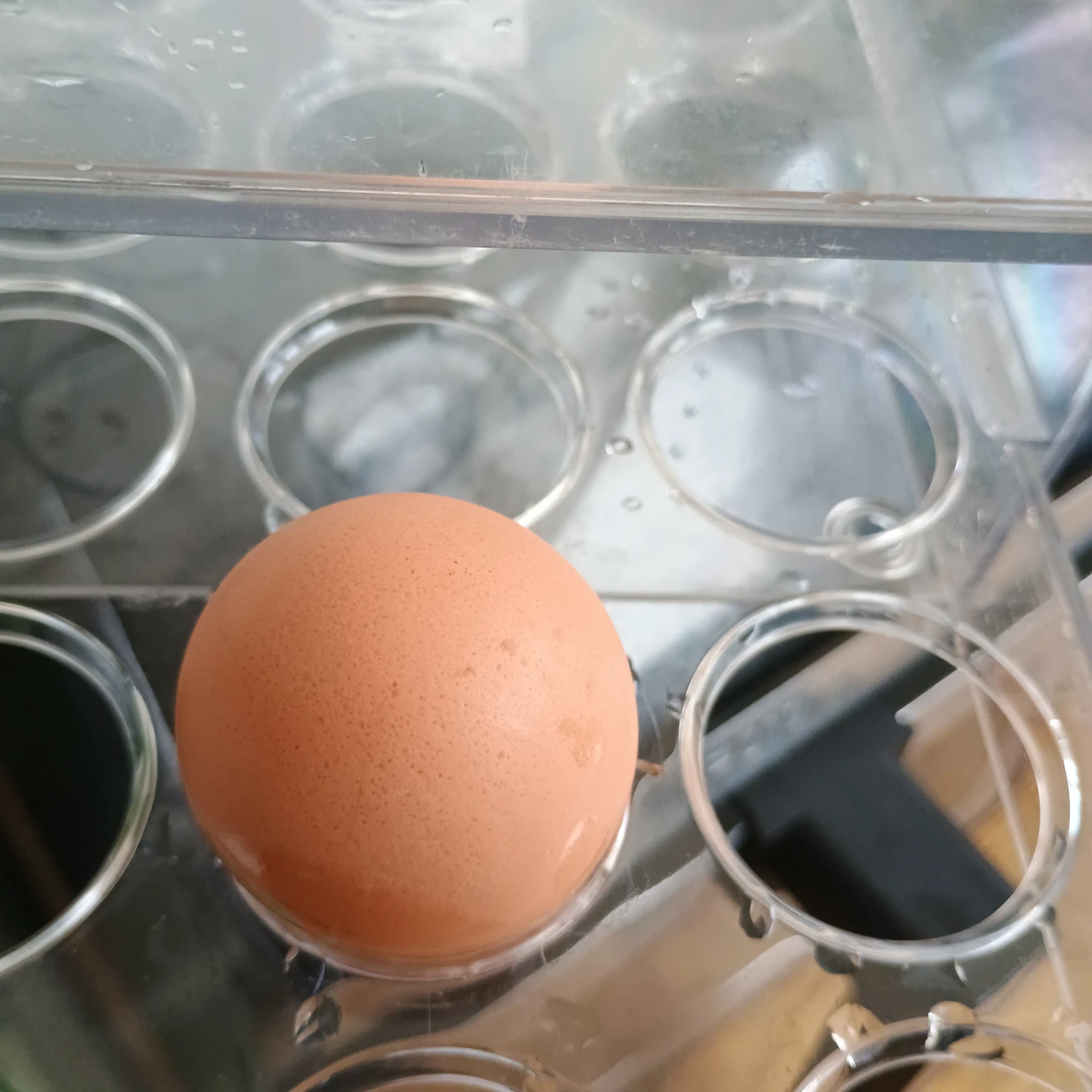 Brightroom Fridge 18-Egg Drawer - photo 3