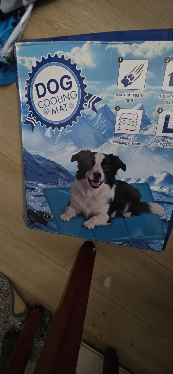 Angelpet Dog Cooling Mat - Blue