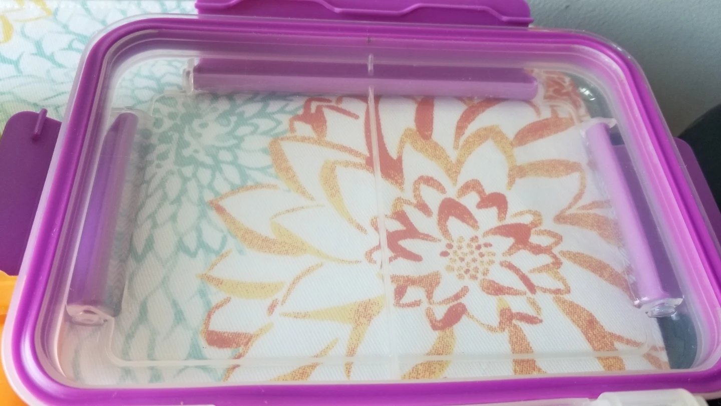 President's Choice LittleSipperWB+SNAPLOCK LUNCHBOX+Bag CLIPS - photo 4