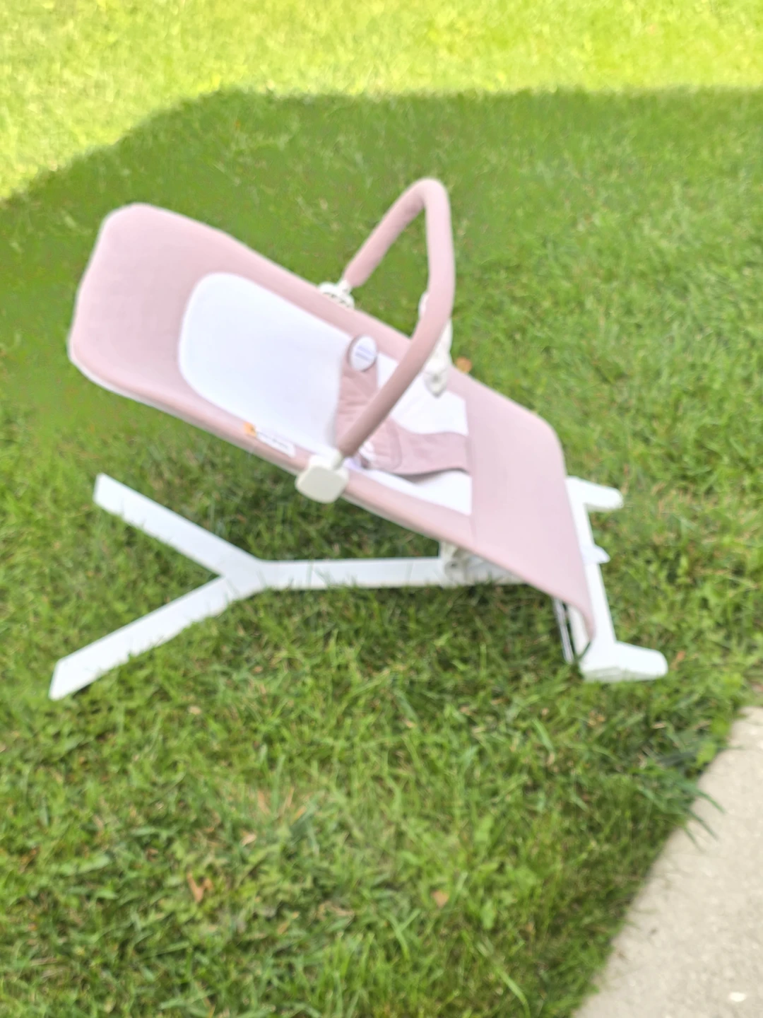 Baby Delight Baby Bouncer