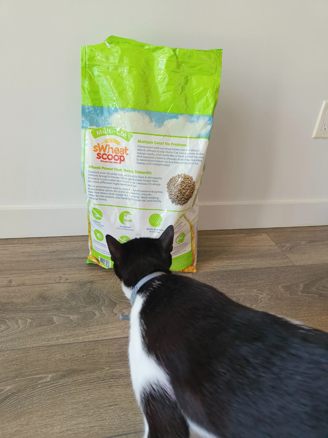 sWheat Scoop Multi-Cat Wheat Cat Litter (7kg) - photo 3