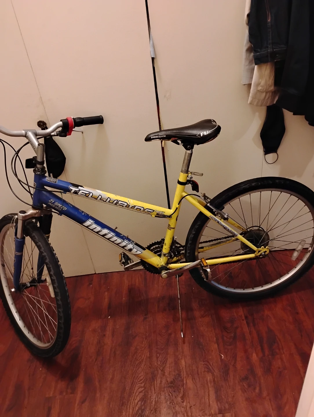 Infinity Telluride 21-Speed Mountain Bike. Size 19