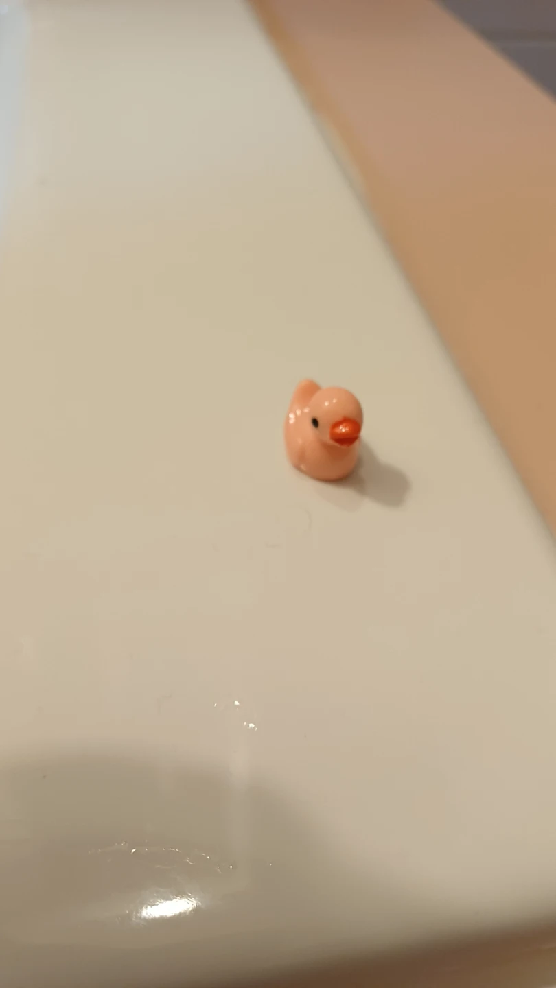 Miniature Pink Duck Figurine🏈