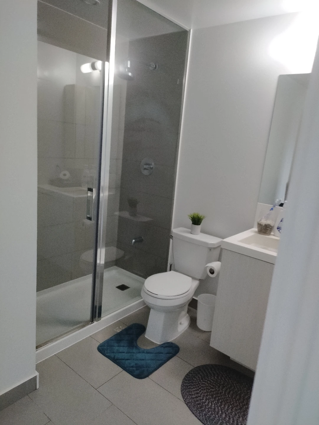 Golden touch Professional cleaning services