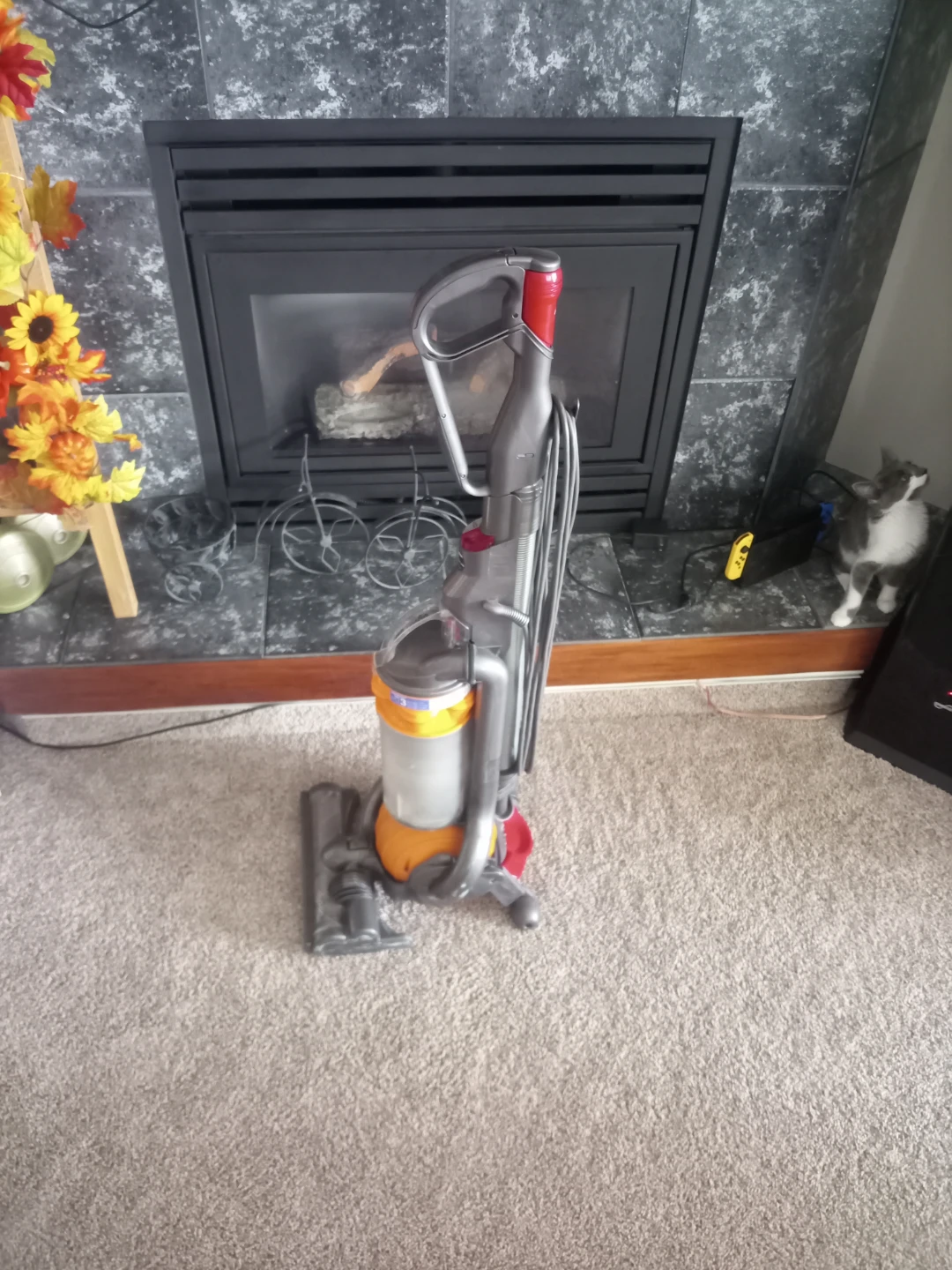 Dyson Ball Vacuum Cleaner - photo 2
