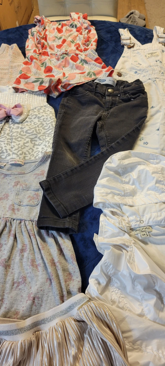 Toddler Girl Clothing Bundle Size 3T